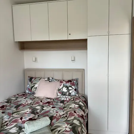 Dorin Kutak, Hills Divčibare