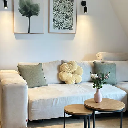 Dorin Kutak, Hills *