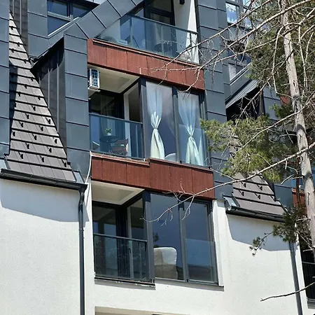 Dorin Kutak, Hills Divčibare