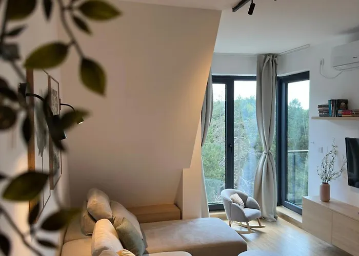 Dorin Kutak, Hills Daire *