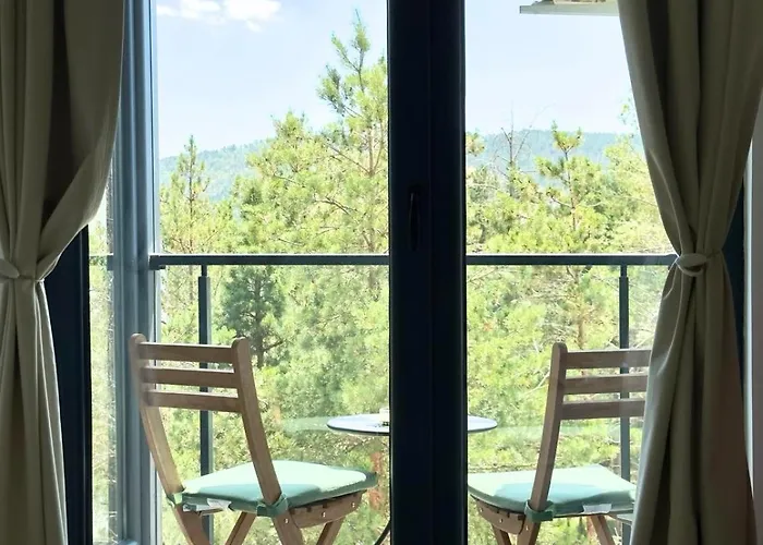 Dorin Kutak, Hills Daire Divčibare