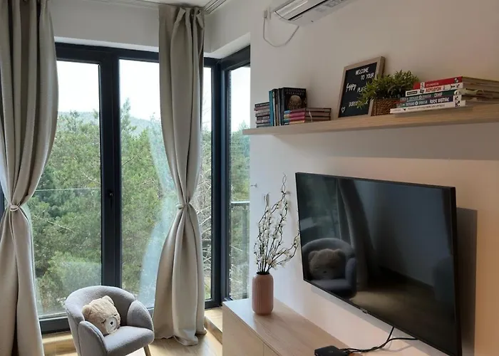 Dorin Kutak, Hills Daire *