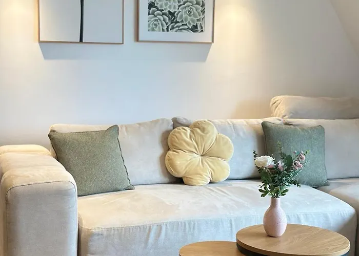 Dorin Kutak, Hills *