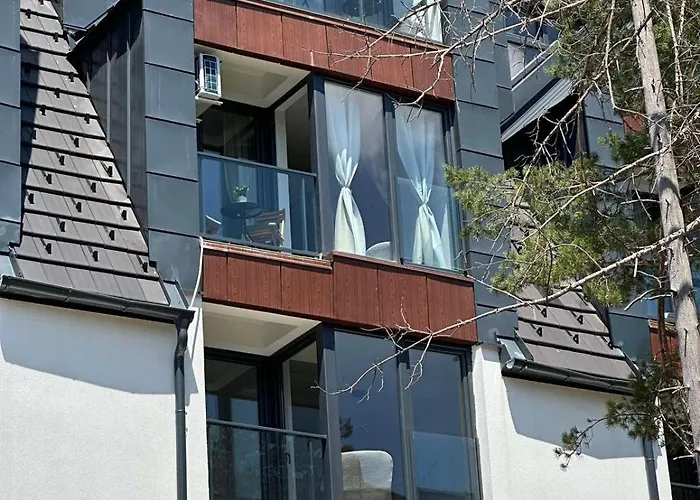 Dorin Kutak, Hills Divčibare