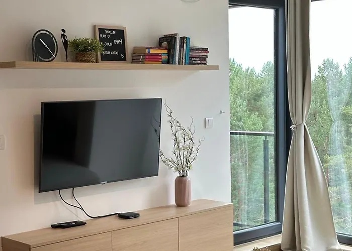 Dorin Kutak, Hills Daire