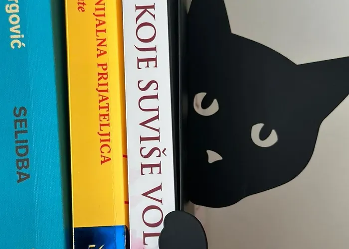 Daire Dorin Kutak, Hills Divčibare